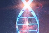 DNA(dng)z|(zh)ģ˵߀ˣ