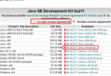 Java+Tomcat h𼰰b^̈D