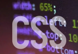 CSSAT̳֮CSS id x