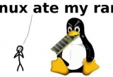 LinuxϵyʲôҪԵҵġȴ桱