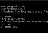 ʹnginxû̓MC(j)(sh)F(xin)