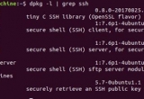 ԔLinuxSSHXshellBӷ(w)ĈDĽ̳