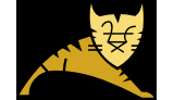 Tomcat9ʹMSSLCܾWվķ