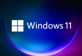 Windows11oBӾW(wng)j(lu)ô£