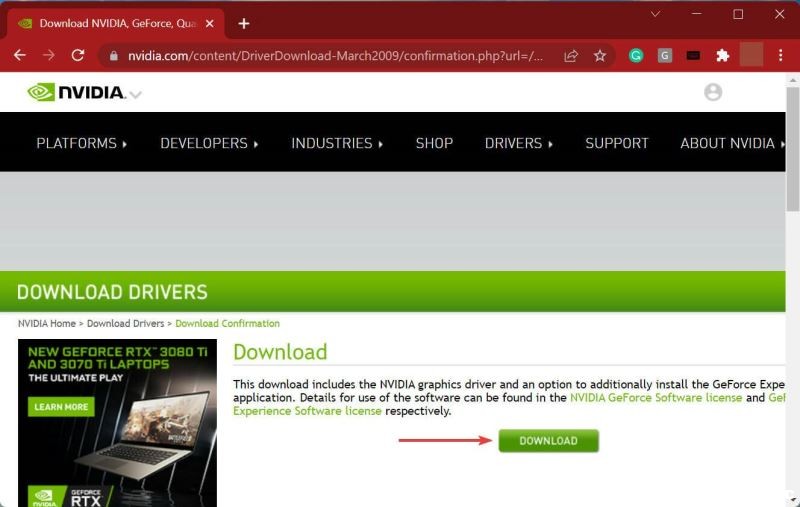 Win11Nvidia(q)ӳ