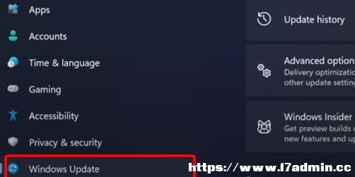Win11ָyiOò