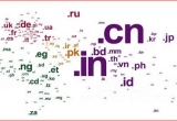 CNNIC100fI(y)ṩMCN