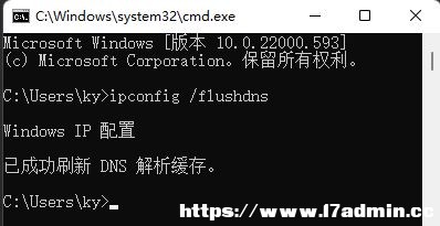 Win11ĬJWPõޏͷ
