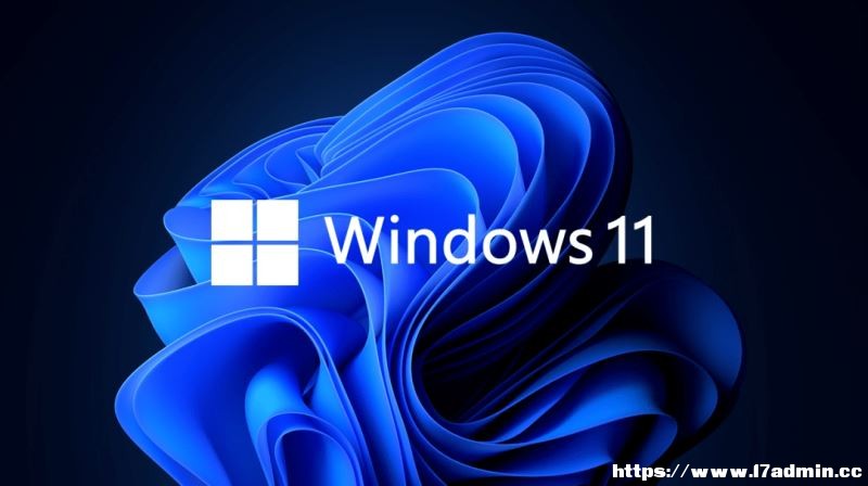 Win11ļYԴ؆e