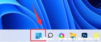 Win11νIP