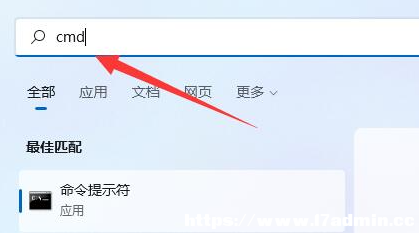 Win11νIP