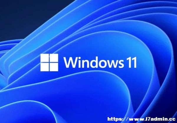 Win11o@ȡôk