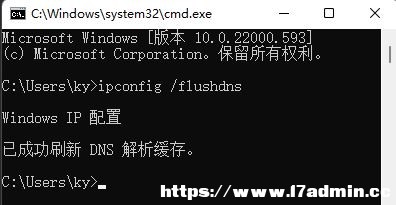 Win11ҲDNSַôk
