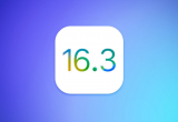 iOS/iPadOS 16.3 Beta1ʲô