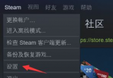 steamƽ_(ti)ļͥʹý̳