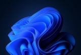 win11ϵy΢ܛٷʲôrֹͣ