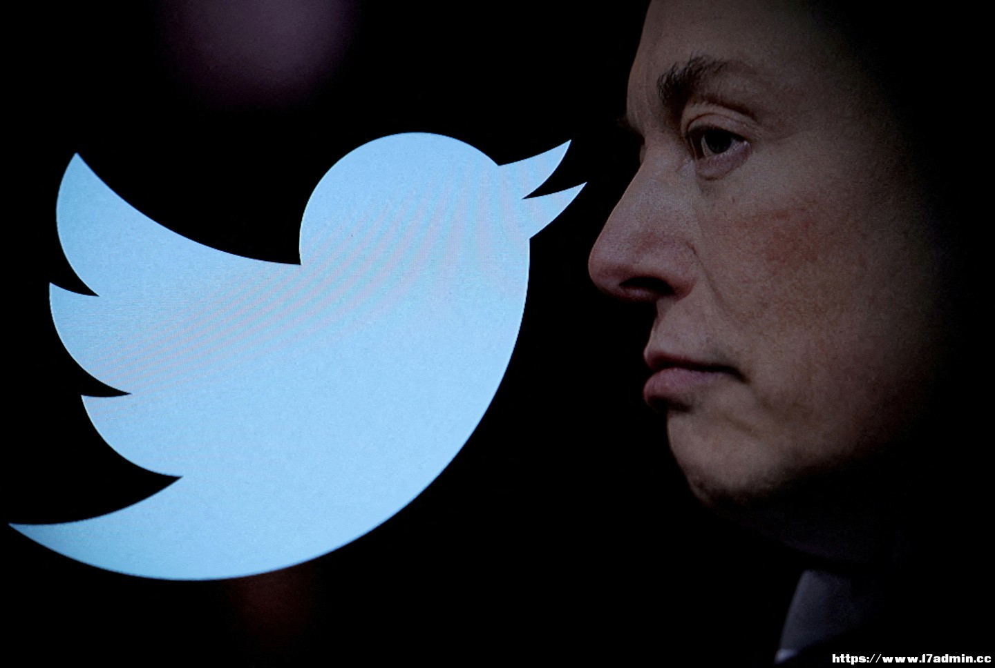 FILE PHOTO: FILE PHOTO: Illustration shows Elon Musk photo and Twitter logo