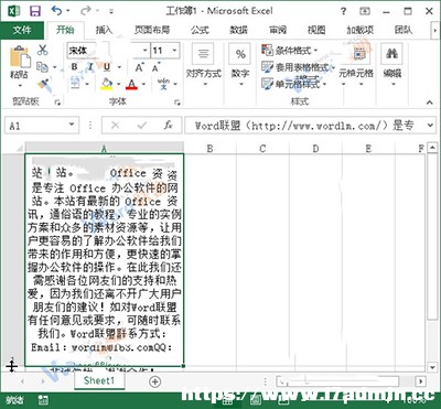 Excel2013ôM(jn)Ű?