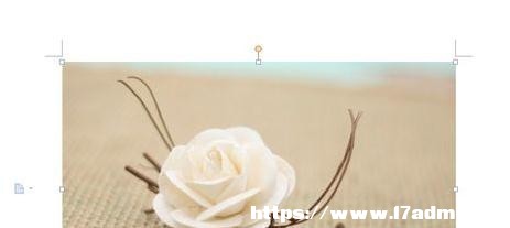 wpsDƬСôO