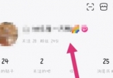 ٶNapp治PעȡPע