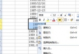 WPS̳̣wpsDQڸʽ