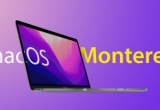 montereyϵyôӣÆ