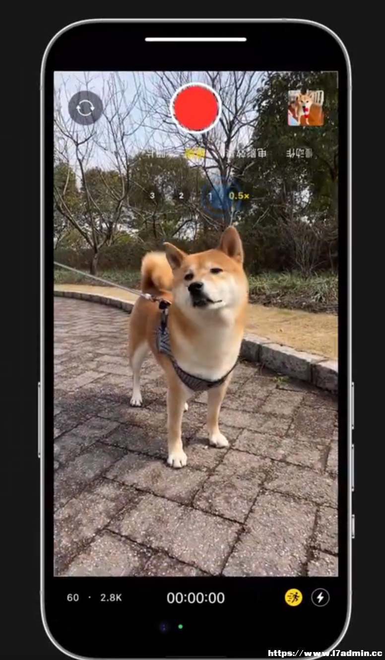 Сɣ iPhone 14 ֳĔzҲܱ֮淀