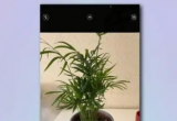 ʹ iPhone C(j)R(sh)eֲͻܣ